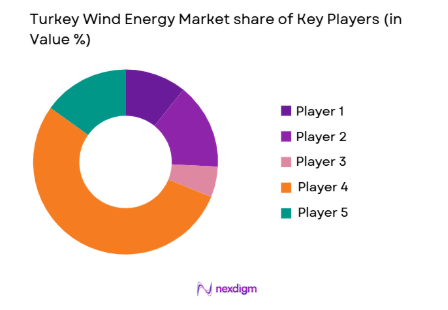 Turkey Wind Energy Market share of key players
