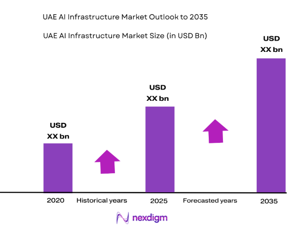 UAE AI Infrastructure Market