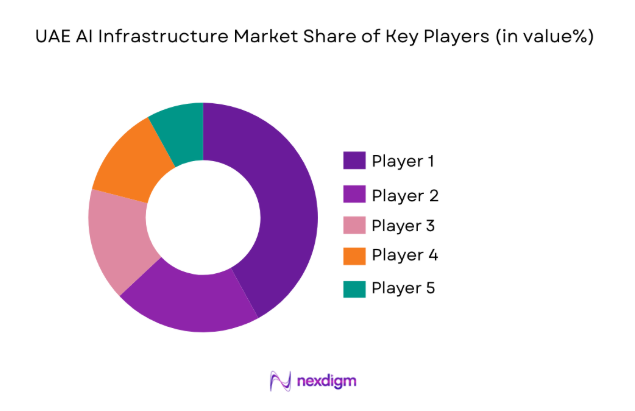 UAE AI Infrastructure Market