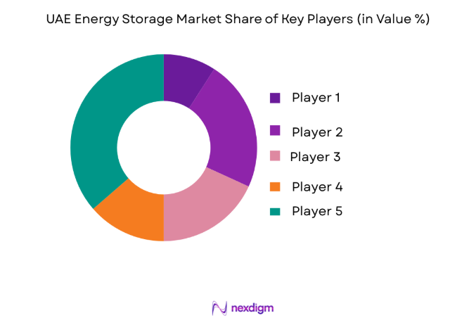 UAE Energy Storage Market key players