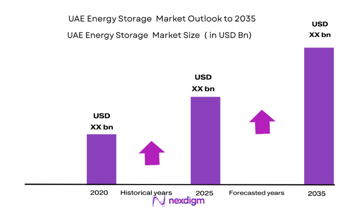 UAE Energy Storage Market size
