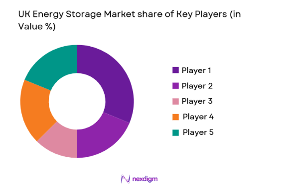 UK Energy Storage Market share of key players