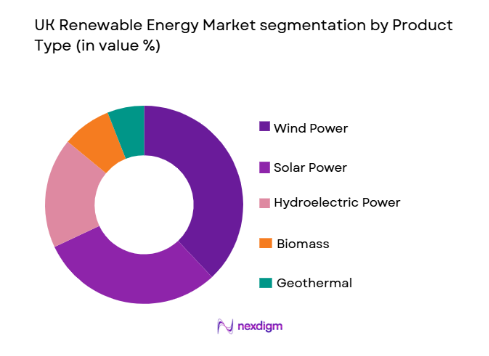 UK Renewable Energy Market segmentation by product type