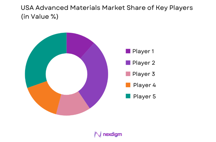 USA Advanced Materials Market key players