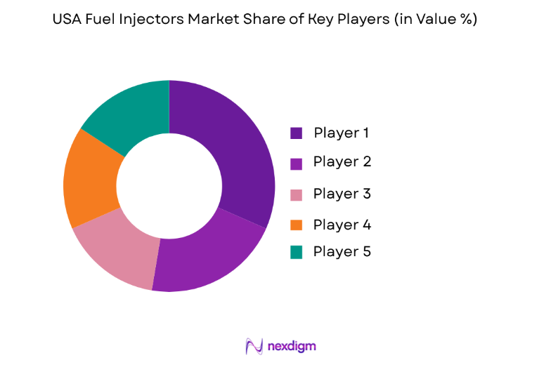 USA Fuel Injectors Market key players