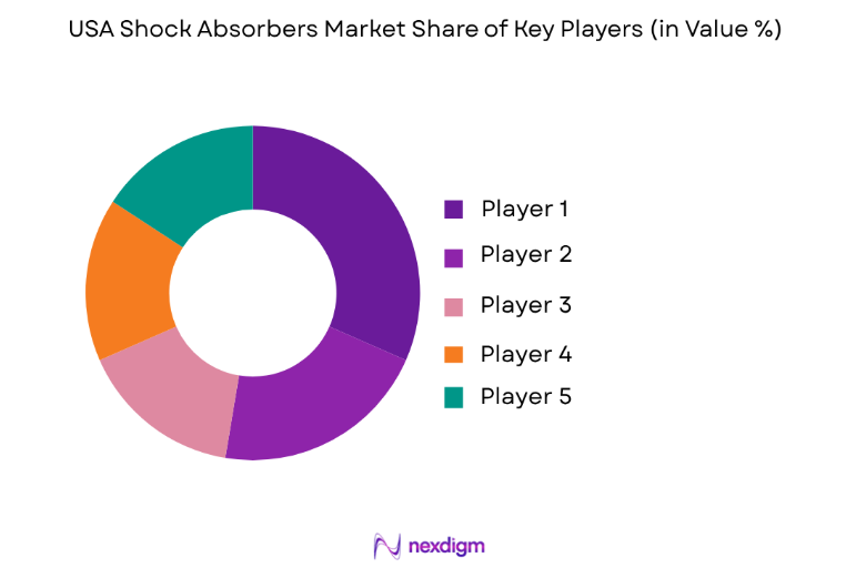 USA Shock Absorbers Market key players