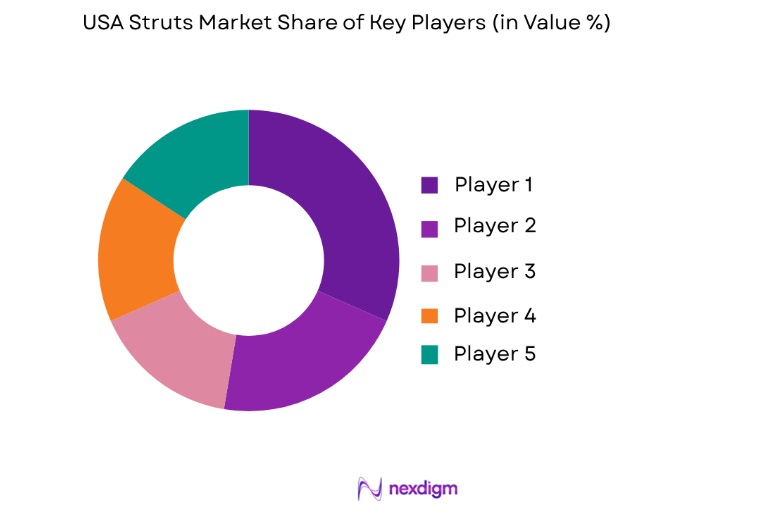 USA Struts Market key players