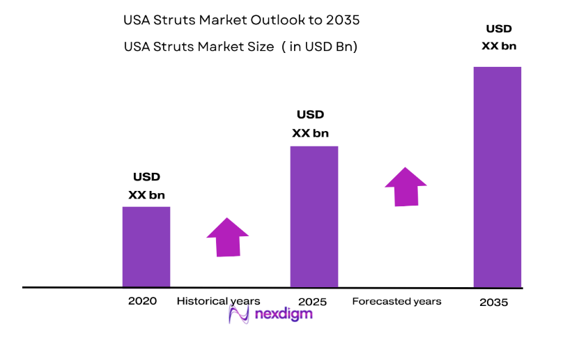 USA Struts Market size
