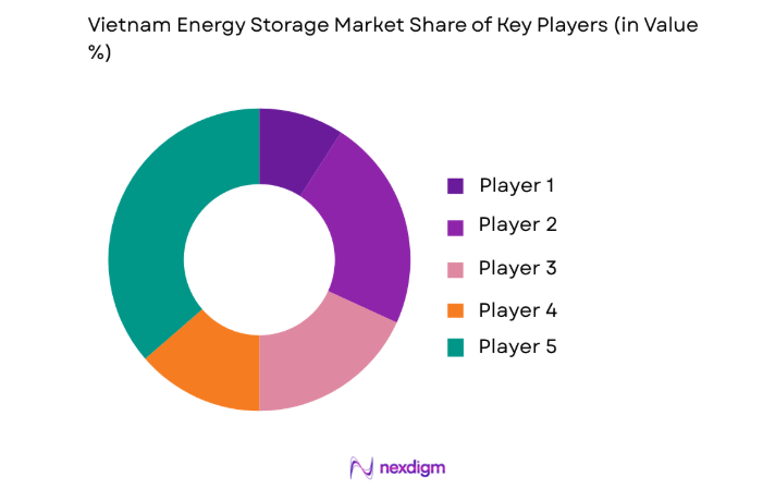 Vietnam Energy Storage Marke key players