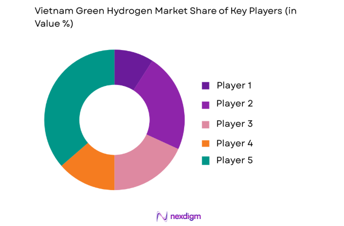 Vietnam Green Hydrogen Market key players