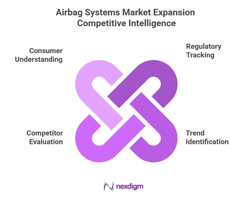 Airbag Systems Competitive Intelligence Services