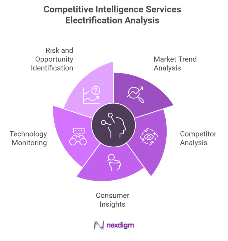 Automotive electrification competitive intelligence services