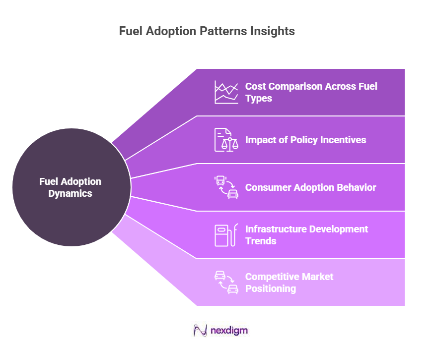 Automotive fuel adoption patterns