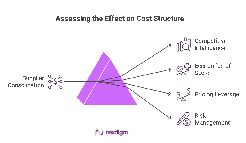 Effect of automotive Supplier Consolidation on Cost Structures