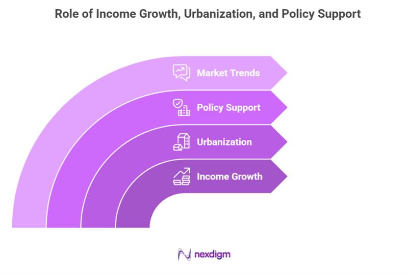 Role of automotive demand drivers