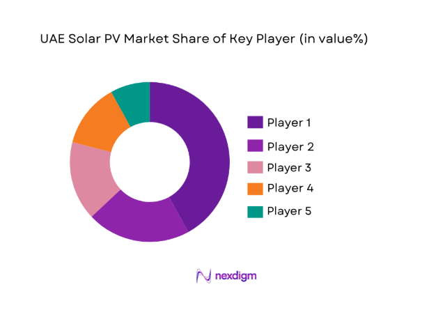 UAE Solar PV Market 