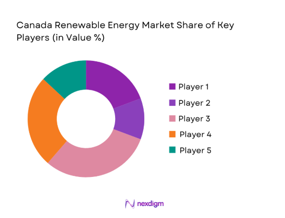 Canada Renewable Energy Market by key players 