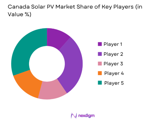 Brazil Solar PV Market by key market players