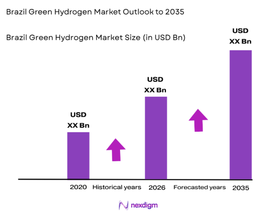 Brazil Green Hydrogen Market by market size 