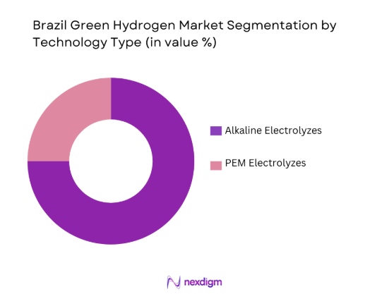 Brazil Green Hydrogen Market by technology type