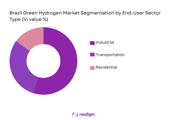 Brazil Green Hydrogen Market by end user type
