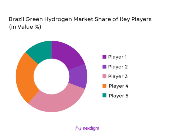 Brazil Green Hydrogen Market by key players 