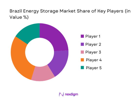 Brazil Energy Storage Market by key players 