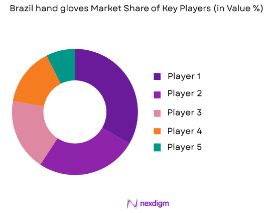 Brazil hand gloves market share of key players
