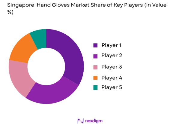 Singapore Hand Gloves Market share of key players