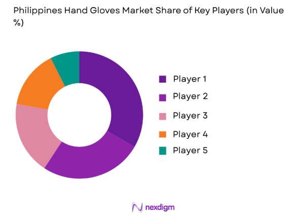 Philippines hand gloves market share of key players