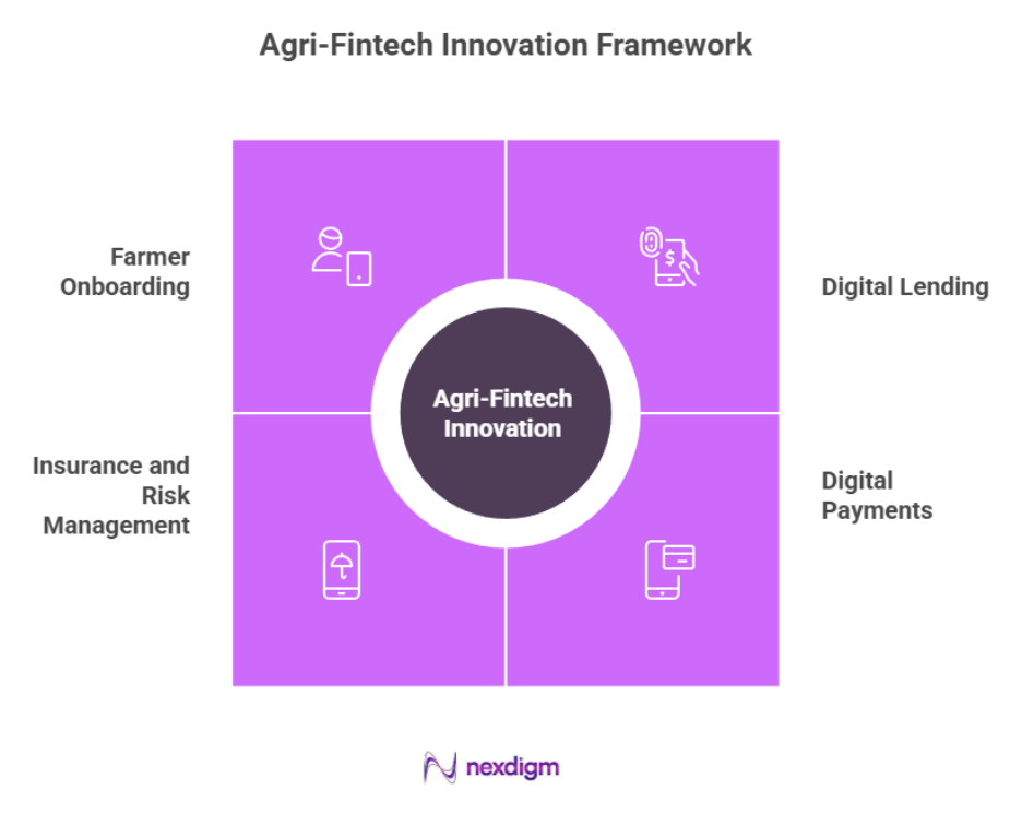 Agri-Fintech Innovation Frameworks