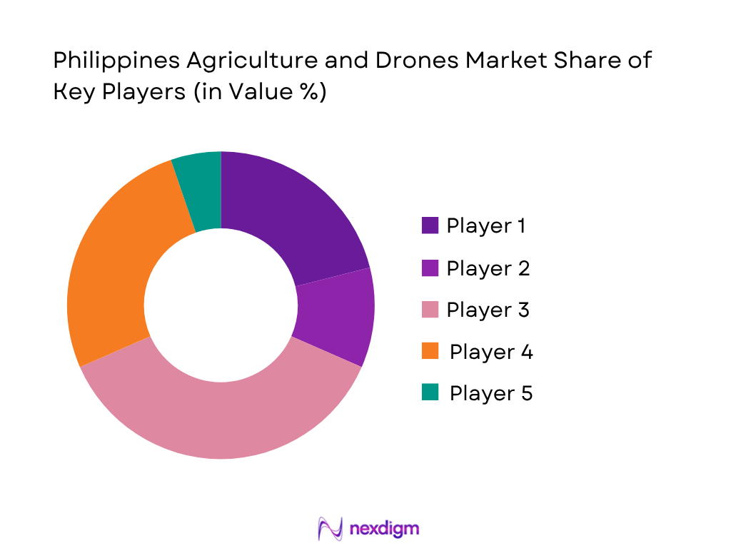 Philippines Agriculture Drones Market share of key players