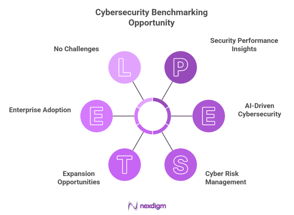 Cybersecurity Benchmarking