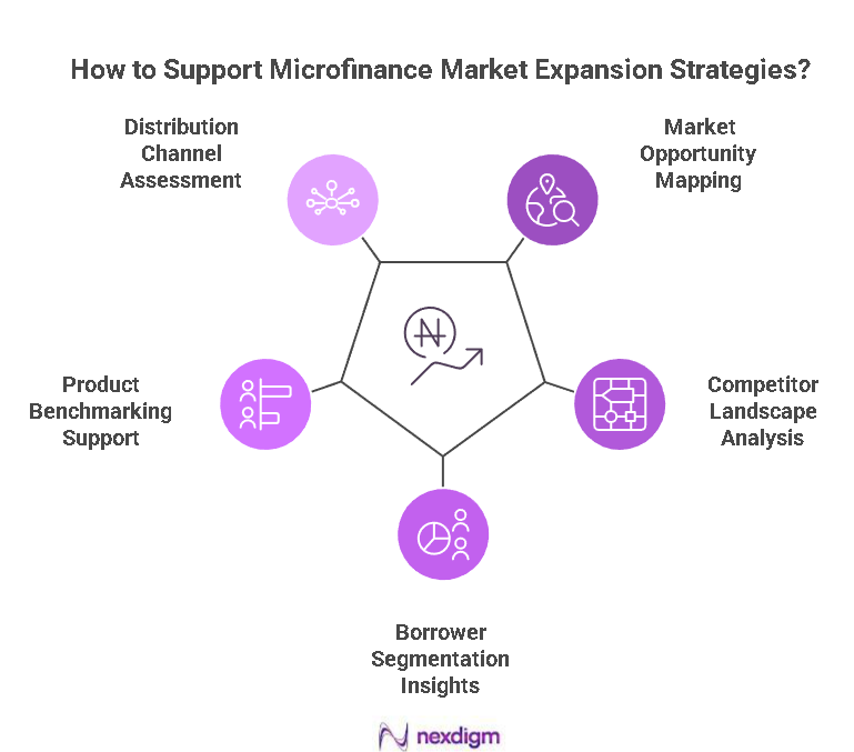 Microfinance Market Expansion Strategies