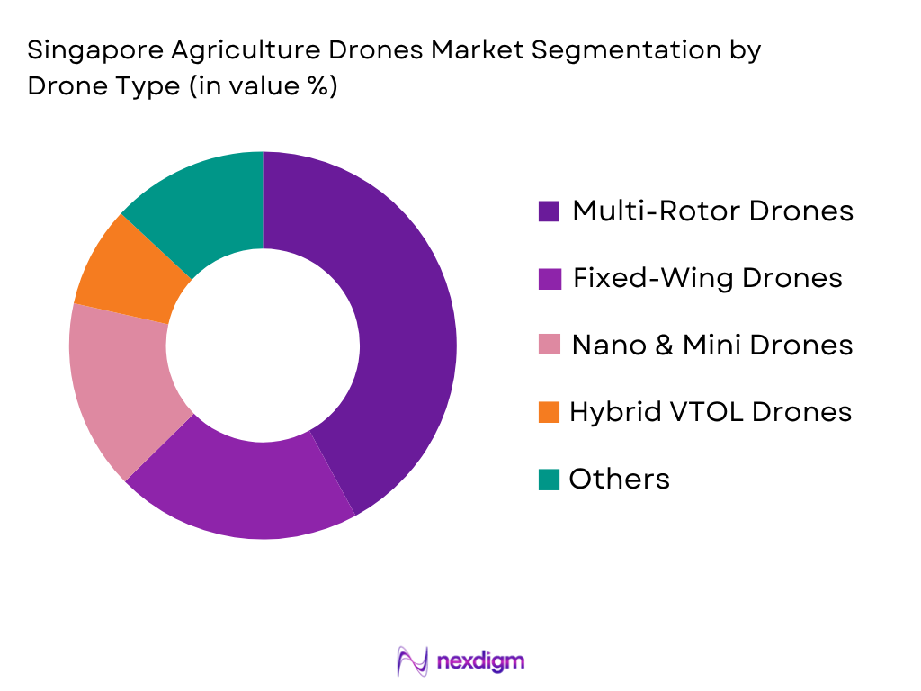 Singapore Agriculture Drones Market by drone type
