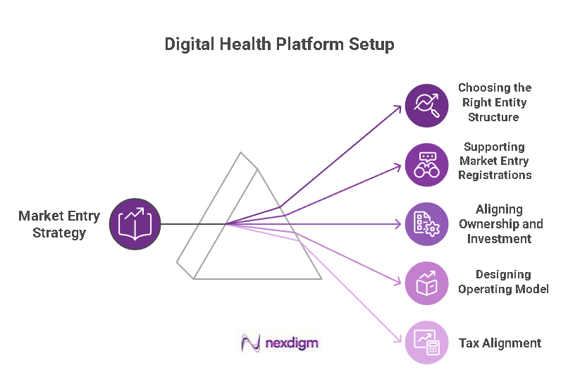 Digital Health Platform Setup
