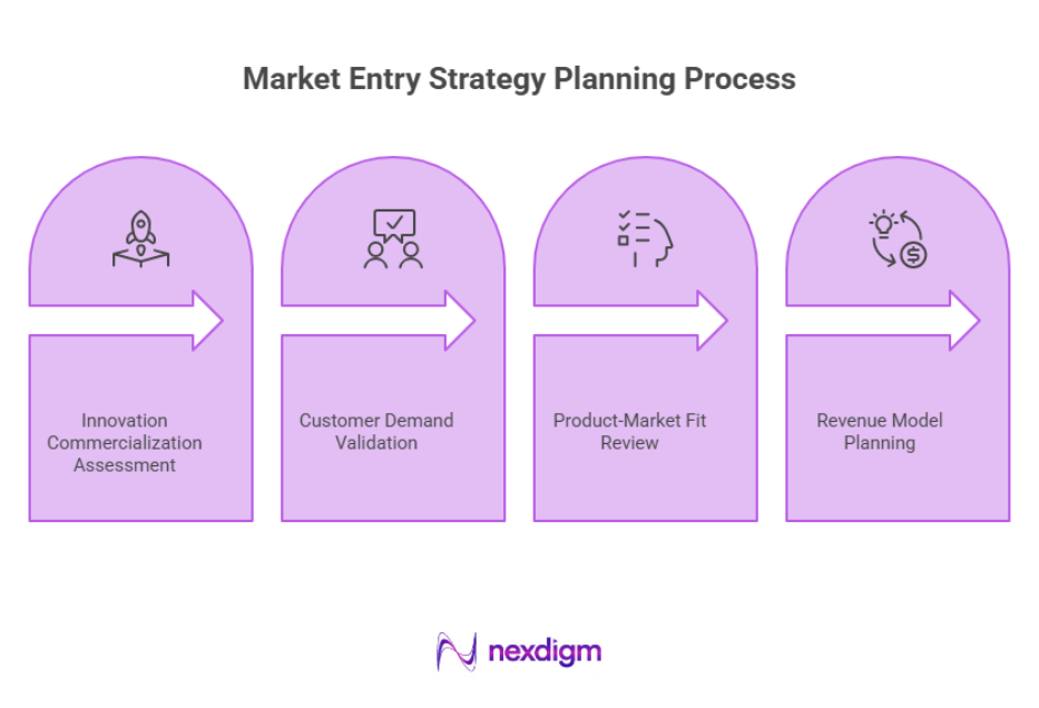 Market Entry Strategy Planning