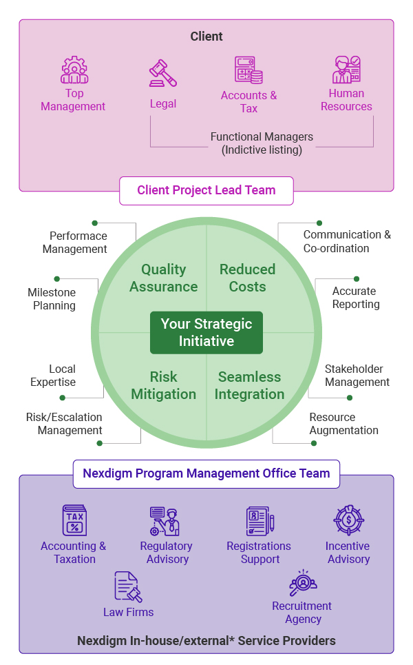 Program Management Consultant Services
