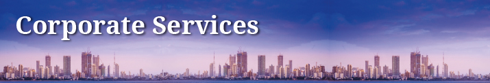 CFO Services