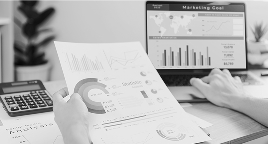 Report Plan