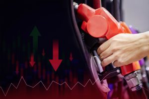 India Flex Fuel Vehicle Market Outlook to 2030
