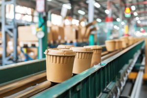 India Flexible Packaging Market Outlook to 2030