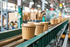 India Flexible Packaging Market Outlook to 2030