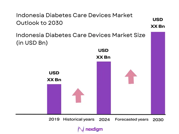 Indonesia Diabetes Care Devices Market Size