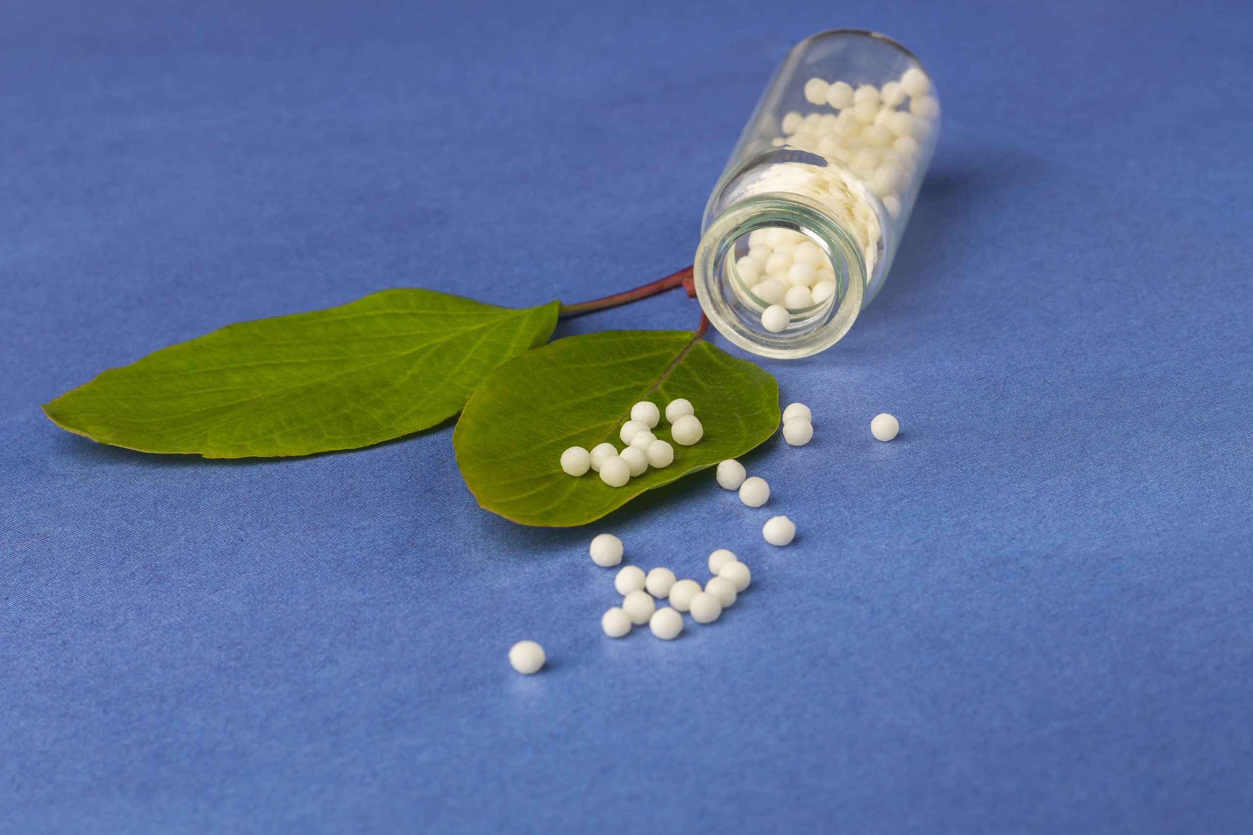 homeopathic-globules-glass-bottle-green-plant-leaf-blue-background-concept-1-scaled