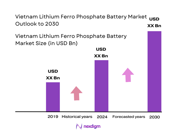 Vietnam Lithium Ferro Phosphate Battery Market Size