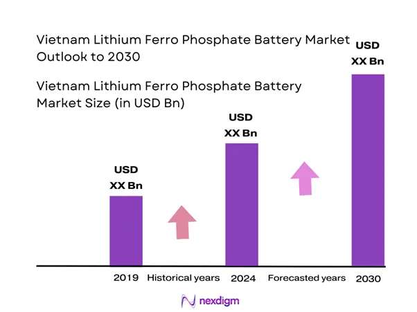 Vietnam Lithium Ferro Phosphate Battery Market Size