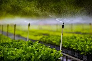 Indonesia Drip Irrigation Market Outlook to 2030