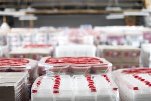 India Flexible Packaging Market Outlook to 2030