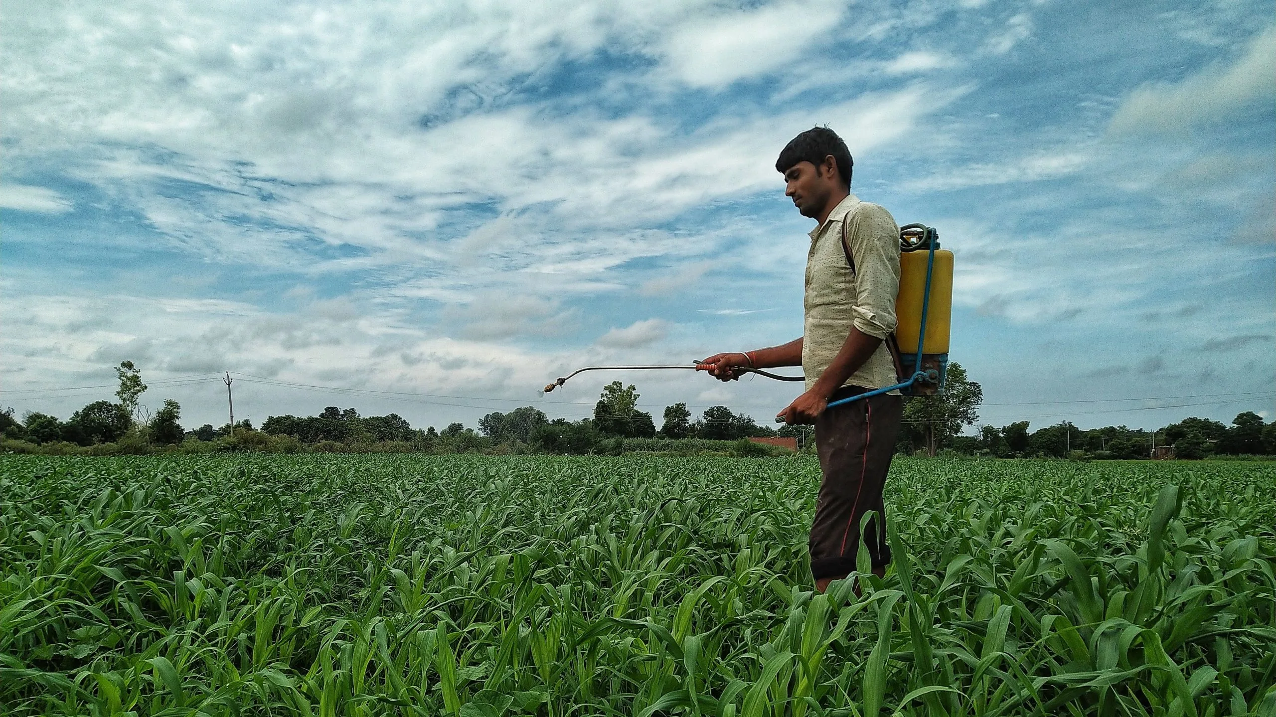 Brazil Agrochemical Market outlook to 2030 Brazil-Agrochemical-Market-scaled